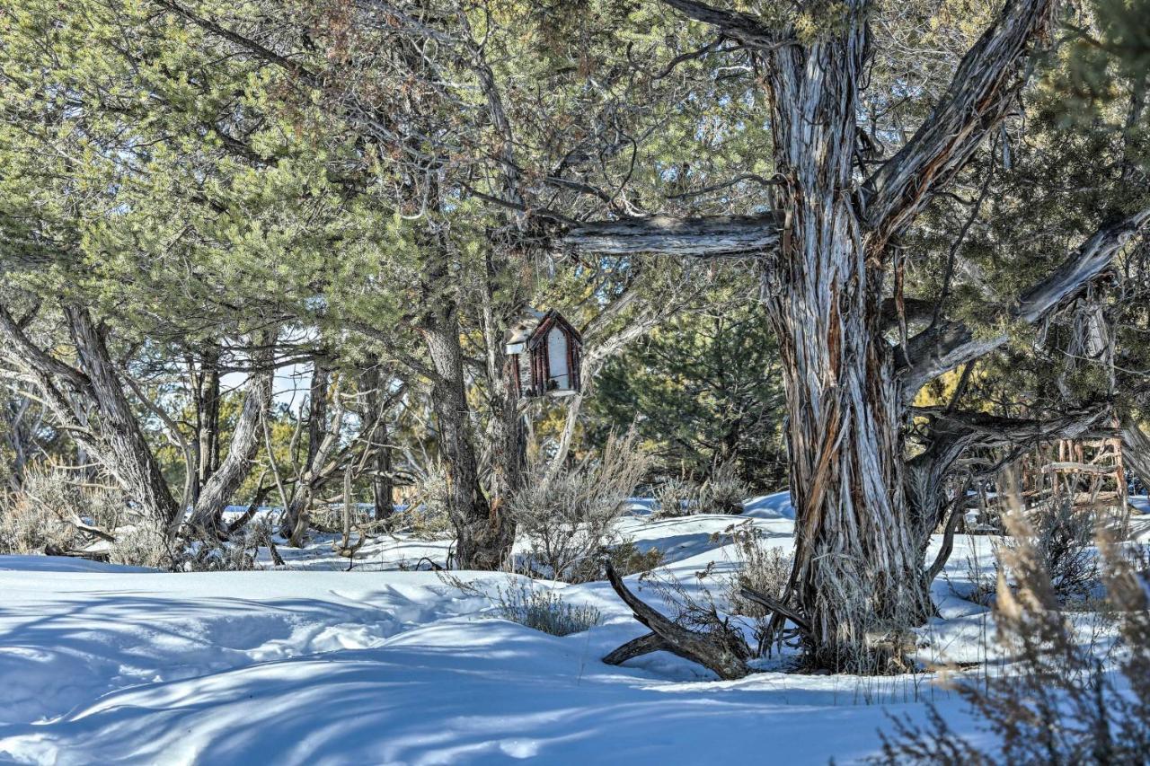 Eagles Landing A Quiet Colorado Mountain Escape Villa Exterior foto